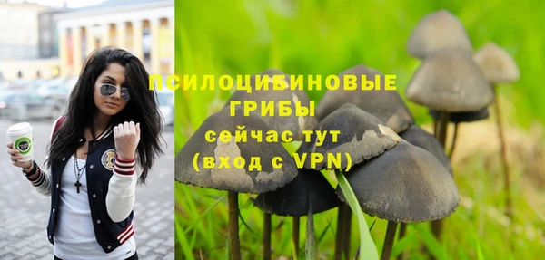 ешки Козловка