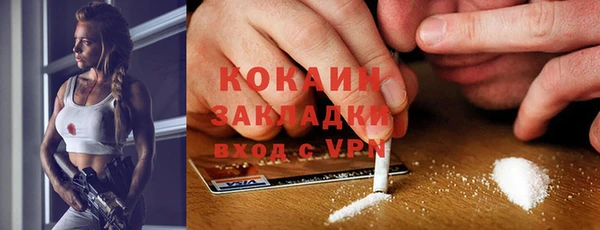 мдпв Козельск