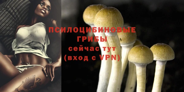 винт Кодинск