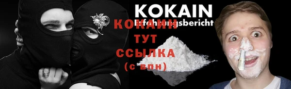 ешки Козловка