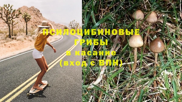 мдпв Козельск