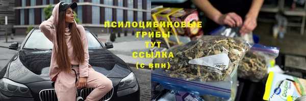 ешки Козловка
