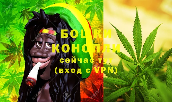 дживик Слюдянка
